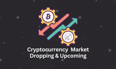 cryptocurrency-market-dropping-&-upcoming